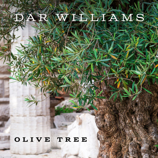Dar Williams - Olive Tree (Single)
