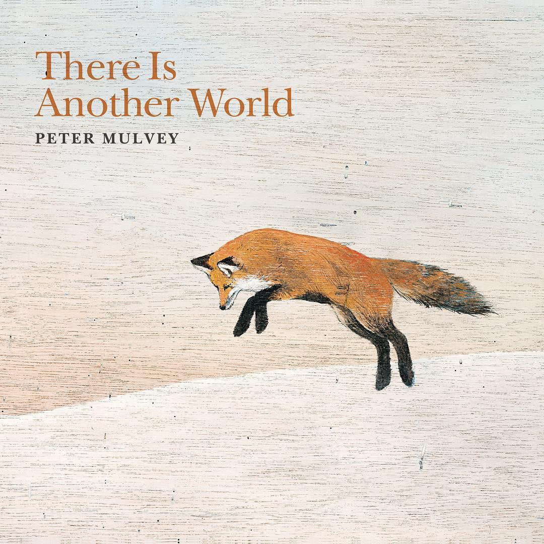 Announcing new album There Is Another World from Peter Mulvey