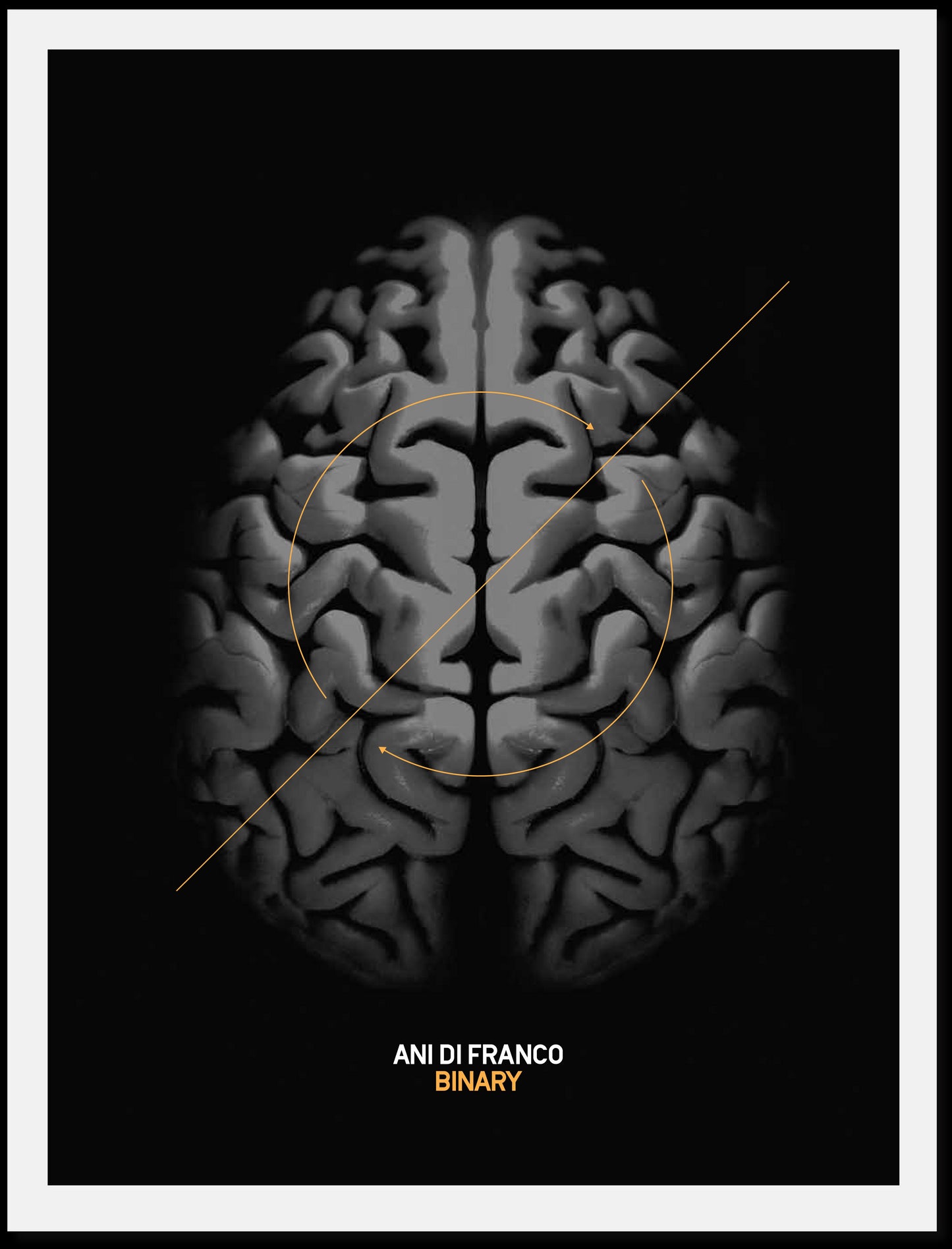 Brain Poster - Signed by Ani